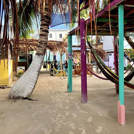 Tropical Oasis Hostel Caye Corker Εξωτερικό φωτογραφία