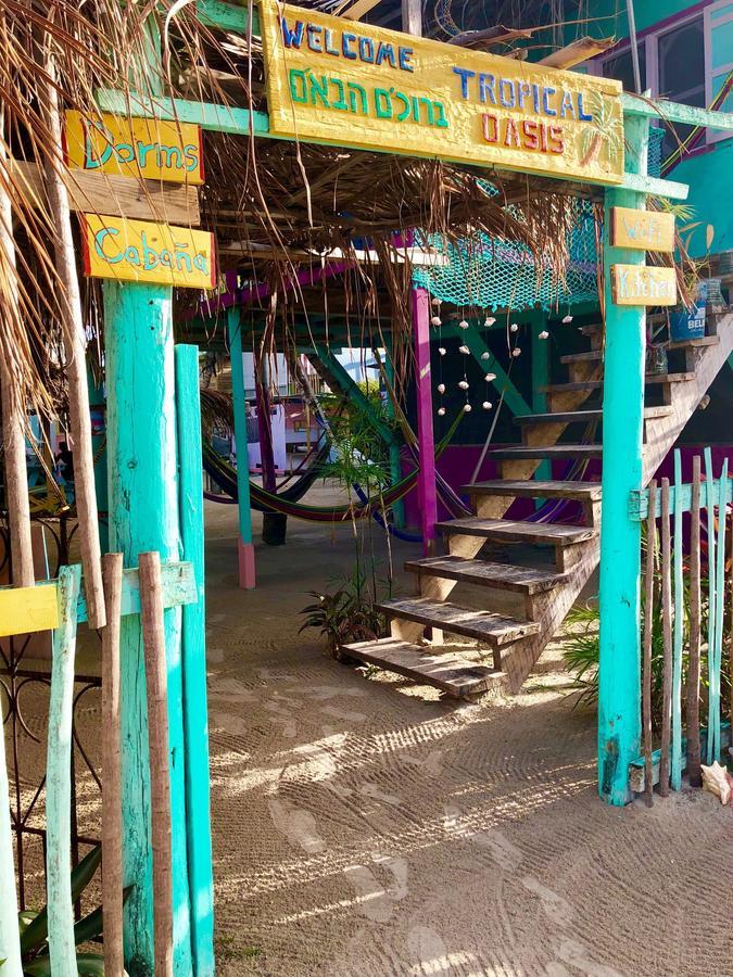 Tropical Oasis Hostel Caye Corker Εξωτερικό φωτογραφία