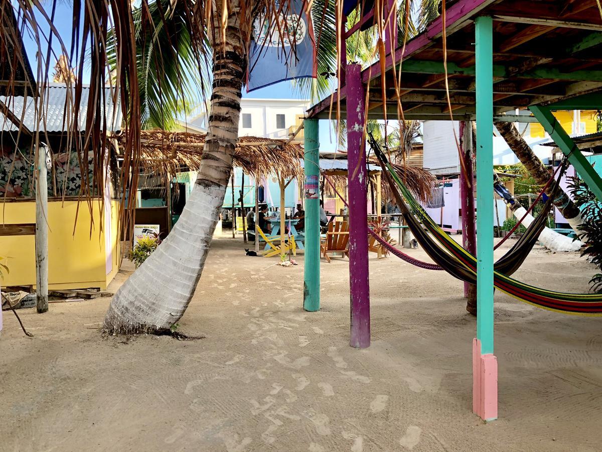 Tropical Oasis Hostel Caye Corker Εξωτερικό φωτογραφία