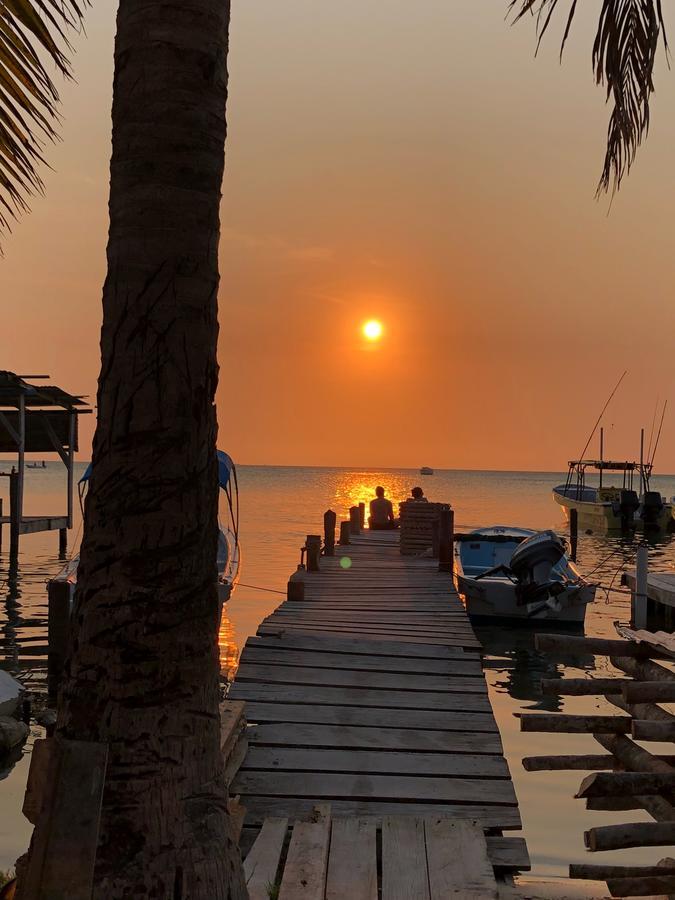 Tropical Oasis Hostel Caye Corker Εξωτερικό φωτογραφία